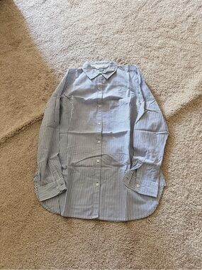Classic Blue Stripe Button-Down Shirt